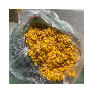 Cocons de ver à soie jaune doré naturel pour le rembourrage de couettes en soie |   Vente en gros en vrac auprès d'un fournisseur vietnamien - Product Image 1