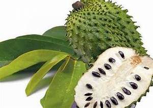 ÉTIQUETTE PROPRE CONGELÉE SOURSOP PULPE USINE DE FRUITS DÉRIVÉS POUR UN SOUTIEN IMMUNITAIRE ET ÉNERGÉTIQUE - Product Image 3
