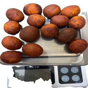 Los Mejores Cálculos Biliares de Buey y Vaca - Product Image 3