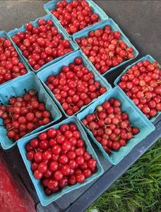 ผลเบอร์รี่สดออร์แกนิกคุณภาพสูง-สตรอเบอร์รี่แอปเปิ้ลเบอร์รี่ป่าอย่างมีสไตล์ - Product Image 3