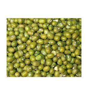Frijoles Mung |   Frijoles Mung Verdes Orgánicos para Germinar y Cocinar - Product Image 5