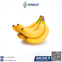 Herbojit International Super Grade Hoogwaardige, heerlijke, natuurlijke, verse bananen 20kg Exportkwaliteit Verpakking beschikbaar Lage prijs
