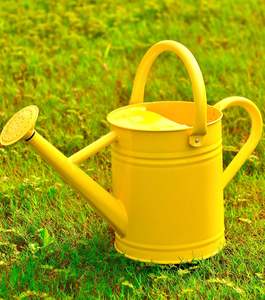 El riego verde puede ofrecer remolques controlados beneficiosos para plantas delicadas, plántulas e interiores en macetas - Product Image 3