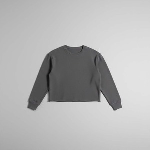 Sweat-shirt court à col ras du cou en molleton de coton épais pour homme, coupe classique, style streetwear, idéal pour l'hiver et la superposition - Product Image 1