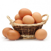Œufs de poule bruns frais - Qualité de grade A - Origine Brésil - Service OEM/ODM