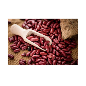 Frijoles rojos oscuros secos de forma larga británicos al por mayor para exportación en embalaje a granel - Product Image 2