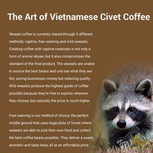 กาแฟคุณภาพเยี่ยม กาแฟวีเซล เบอร์ 1 ผงกาแฟ ผลิตในเวียดนาม อายุการเก็บรักษา 12 เดือน ใช้งานสะดวก บรรจุ 500 กรัม/ถุง - Product Image 5