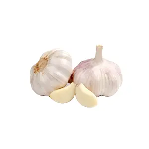 Garlic Flavour Essence | Buy Garlic Flavour Oil At Wholesale Price, Allicin Powder Garlic Extract For Curry & Salad Dressing