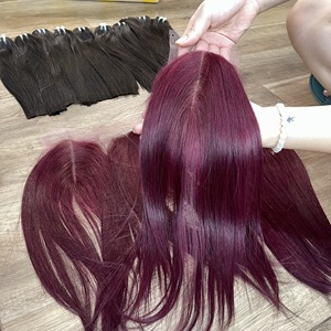 Mèches de cheveux humains lisses bon marché avec fermeture en trame, extensions de cheveux vietnamiens de couleur droite en os doublement étirés - Product Image 5
