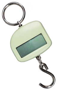 เครื่องชั่งน้ำหนักกระเป๋าปลาขนาดเล็กระบบอิเล็กทรอนิกส์แบบแขวนขนาดเล็ก30กก./0.1กก. - Product Image 4