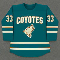 Grosir Jersey hoki es 100% poliester kustom pakaian hoki es bordir kualitas tinggi pakaian hoki es