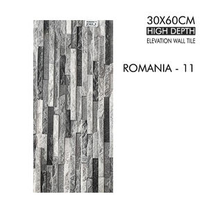 Azulejos de Pared de Cerámica para Exteriores, Diseño de Alta Elevación y Profundidad, Azulejos Digitales de 30x60 CM para Exteriores, Hogar, Oficina y Edificios - Product Image 3