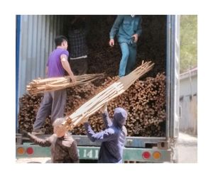Poteau de canne en bambou en gros d'exportation du Vietnam matériau naturel écologique de haute qualité approvisionnement direct d'usine prêt - Product Image 3
