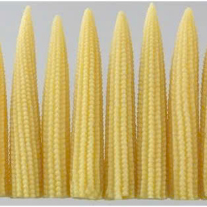 Pur et naturel: maïs surgelé vietnamien, prêt pour l'importation - Product Image 2