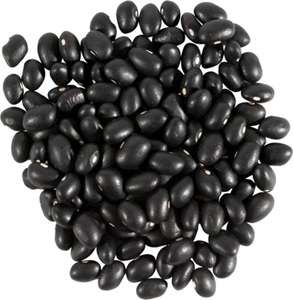 Frijoles de riñón negros orgánicos de Grado Superior 100% listos para exportar en bolsas a granel Frijoles secos oscuros para uso alimentario - Product Image 5