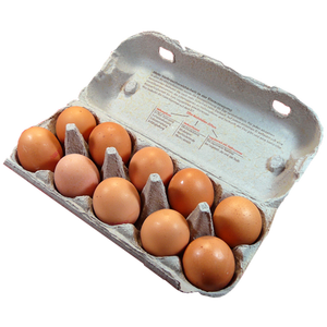 Huevos Frescos de Gallina de Corral y Huevos para Incubar con Cáscara Marrón Natural, Larga Vida Útil, Entrega Rápida en Europa, Productos Frescos de Granja - Product Image 4