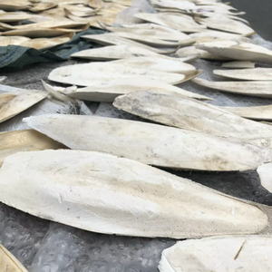 NATURAL DRIED <b>CUTTLE</b> <b>FISH</b> <b>BONE</b> WHOLESALE AT AFFORDABLE PRICE - Product Image 5