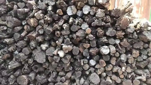 Charbon de bois de café forfaitaire sans produits chimiques Vietnam charbon de bois noir pour Barbecue narguilé Shisha et industrie - Product Image 2