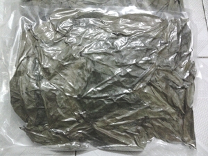 Cosechado salvaje, hoja de Guanábana seca de grado té, secado al sol, producto de hoja limpia, embalaje estándar de exportación/Hojas de Guanábana secas a granel - Product Image 5