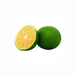 Citron vert frais, fruit sucré, juteux, aromatique, agrumes, produits de haute qualité, acheteurs en gros, exportateurs, commerciaux - Product Image 1