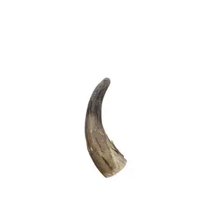 Hot selling viking horn Best Design Natural Hand Carved Viking Style Blowing Horns natural craft best selling