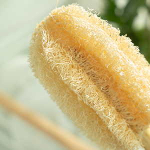 2026 PRODUCT HOT TREND Wooden Handle Cleaning Brush <b>Bottle</b> loofah Glass Sports Cup <b>Milk</b> <b>Bottle</b> Detail Cleaner Brush Household - Product Image 6