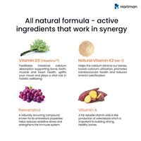 Bandes orales de vitamine D3 premium avec K2 et mélange nutritionnel pour le bien-être quotidien