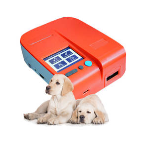 Medidor <span class=keywords><strong>de</strong></span> <span class=keywords><strong>Progesterona</strong></span> para Gestación Canina Zezhi, Analizador Veterinario <span class=keywords><strong>de</strong></span> HCG, Reactivo <span class=keywords><strong>de</strong></span> Prueba <span class=keywords><strong>de</strong></span> <span class=keywords><strong>Progesterona</strong></span> Q10, Diagnóstico In Vitro - Product Image 1