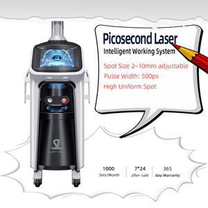 Máquina de Eliminación de Tatuajes con Láser de Pigmento, Láser de Rejuvenecimiento de la Piel Nd Yag 1064, Láser Q-Switched, Uso Comercial Estacionario - Product Image 1