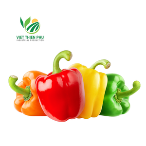 พริกหยวกสดออร์แกนิคต้นครอปใหม่จากสวนเวียดนาม - Product Image 3