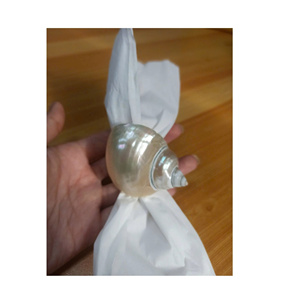 Anillo para Servilletas con Diseño de Concha Marina, Decoración de Mesa Estilo Costero con Concha Natural, Anillo para Servilletas para Bodas, Cenas y Fiestas - Product Image 6
