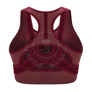 Low Price Best Selling Women's High Support Breathable Sports Bra <b>Adjustable</b> <b>Straps</b> Front Logo Quick Dry Yoga Adults Removable - Product Image 2