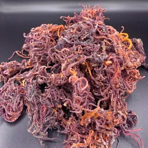 Chondrus Crispus orgánico (Seamoss Gold Purple)-Sabor distintivo para sus platos Producto de algas marinas - Product Image 1