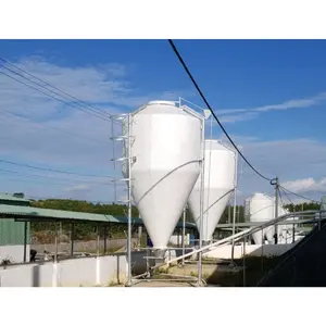 Silo umpan otomatis Harga Murah sistem pengangkut dedak pemeliharaan hewan desain kustom gaya baru produsen Vietnam