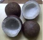 Noix de coco déshydratée de qualité supérieure (TH) - Durée de conservation de 2 ans en vente - Product Image 3