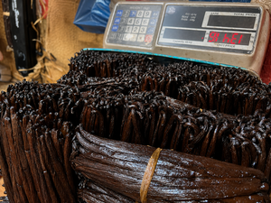 Premium Quality 100% Ground Dried 16-18 cm Bourbon Vanilla SAV Region Pesticide Preservative Free Sun-Dried Planifolia 1kg - Product Image 2