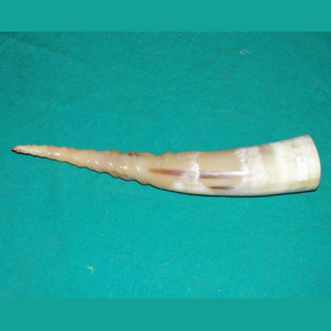 Cuerno para Beber Vikingo Nórdico Tradicional, Taza de Cuerno Natural Tallada a Mano, Recipiente Ecológico de Alta Calidad - Product Image 5