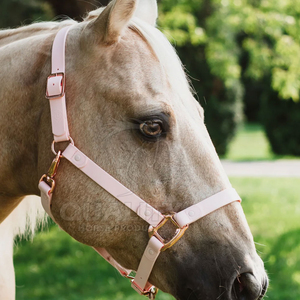 Licol pour mini-cheval et poulain, léger, réglable, avec sangles douces, pour un confort et une ajustement optimal - Product Image 5