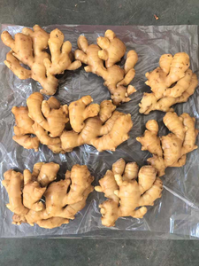 Gingembre jaune frais biologique naturel de haute qualité, gingembre jeune d'Allemagne, 20 kg, épices de qualité alimentaire, assaisonnement, durée de conservation de 12 mois - Product Image 5