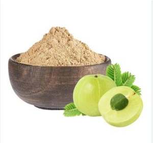 Poudre d'Amla biologique provenant d'un fabricant indien, de la meilleure qualité, fournie par des fournisseurs de poudre d'Amla - Product Image 4