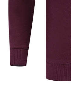 Último diseño 2026 otoño deporte al aire libre hombres ropa ajuste Regular sólido sudadera al por mayor personalizado 100% algodón - Product Image 3