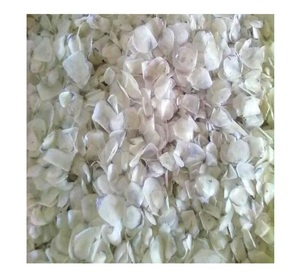 เครื่องชั่งน้ำหนักปลากะพงแห้งจากเวียดนามจำนวนมาก: มีคุณภาพสูงทนทานและทำความสะอาดสำหรับการผลิตคอลลาเจนเครื่องสำอางและเจลาติน - Product Image 1