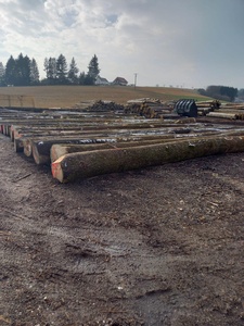 Troncos redondos de aliso negro común de arce Sicomoro de Tilia hechos de madera de roble duradera - Product Image 2