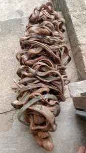 Cuerda de bosque retorcida decorativa Vides de escalada para la decoración del jardín del hogar Loto azul - Product Image 2