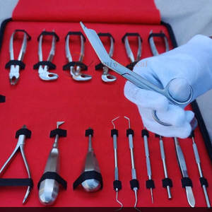 16 Uds cirugía Dental Oral extracción elevadores fórceps alicates elevadores profesionales fórceps alicates - Product Image 4