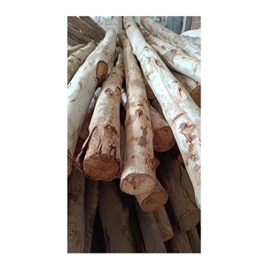 Eucalyptus Wood Round <b>Logs</b>, Wholesale Supplier - Product Image 6