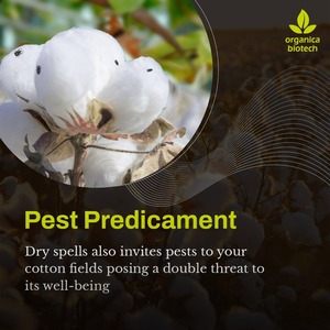 Súper MagicGro - Product Image 5