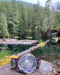 Ceinture de championnat professionnelle personnalisable, qualité supérieure, métal léger, taille personnalisée, personnalisation de la marque, logo personnalisé pour les sports - Product Image 6