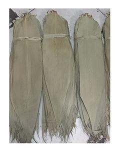 Vente chaude Nouveau Produit Feuille De Bambou Séchée Naturelle Décorer pour Tapis De Sushi Feuilles De Bambou Sèches De Vietnamien - Product Image 1