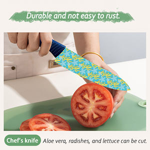 Vente flash Couteau Santoku en céramique de qualité supérieure Design japonais en plastique Passe au lave-vaisselle Pour la cuisine à domicile Préparation des repas Prix d'usine Livraison rapide - Product Image 6